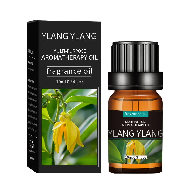 Essential Oil Set